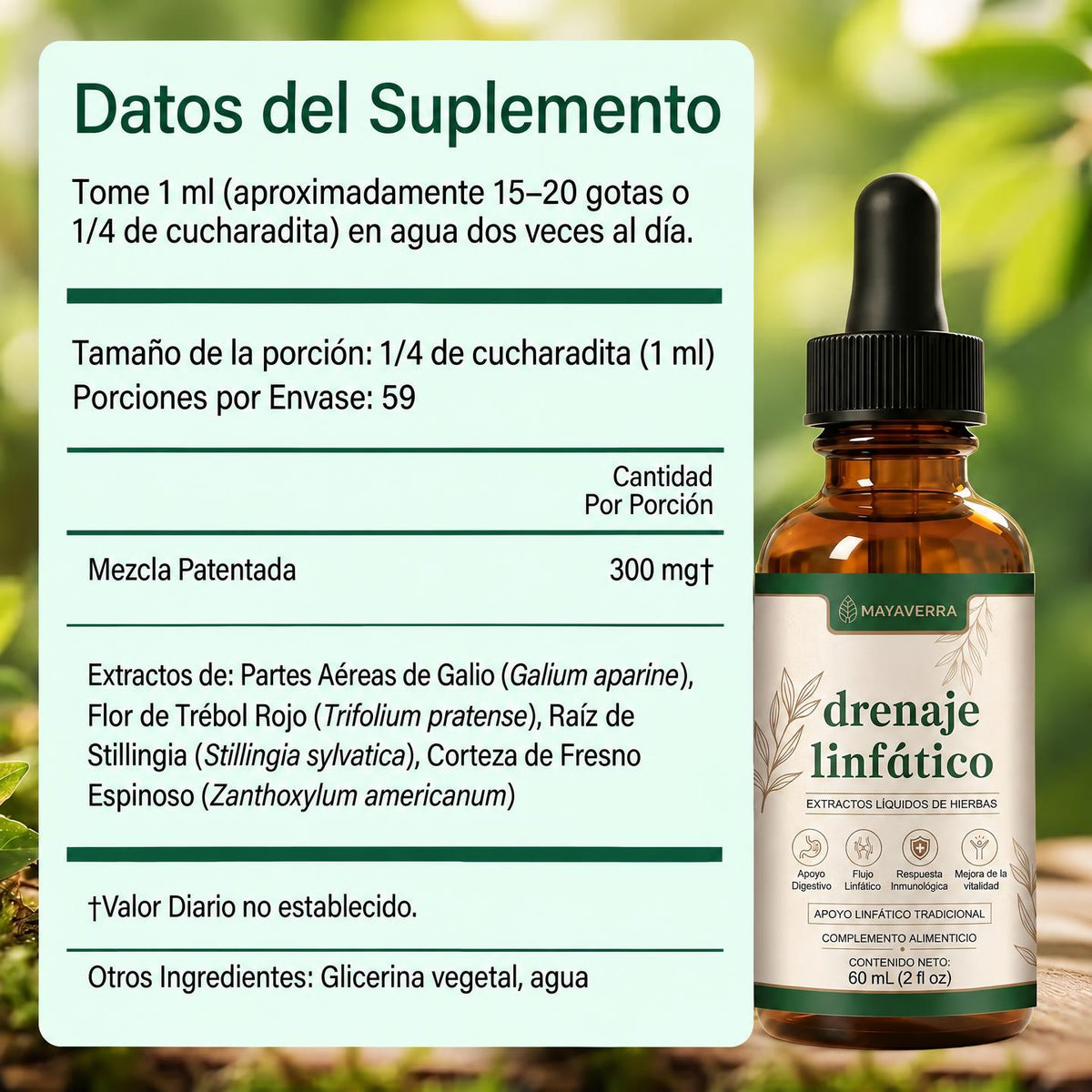 Drenaje Linfatico Mayaverra — Gotas Naturales